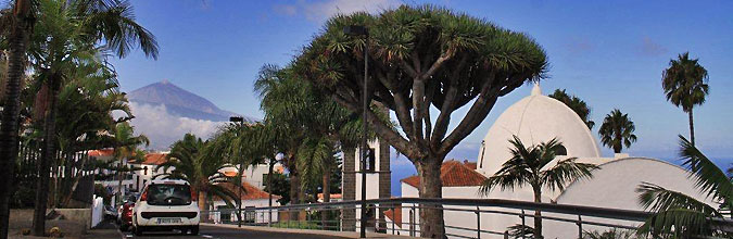 Het dorpje El Sauzal in het noorden van Tenerife. (Foto Els Bruers)