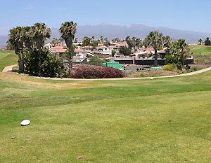 De groene gof 'Amarilla Golf' een oase van rust. (Foto Frank Catry - 2009)