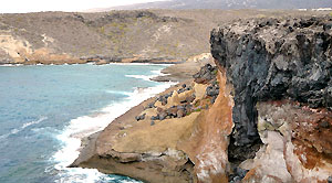 Net voorbij La Caleta begint een natuurpark met een wandelpad langsheen de woeste kustlijn tot helemaal in Playa Paraiso. (Foto Frank Catry)