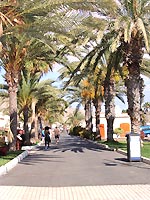 Wandelen langs de stranden en de zee in Tenerife via mooie wandelpromenades. (Foto Frank Catry)